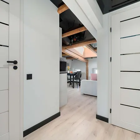 Modern Attic Apartment With Air Conditioning Lodz Orla 21 By Heyrent