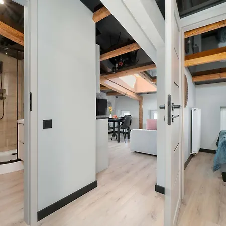Modern Attic Apartment With Air Conditioning Lodz Orla 21 By Heyrent Апартаменти *